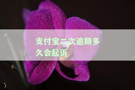 支付宝第二次逾期了：如何处理及影响？
