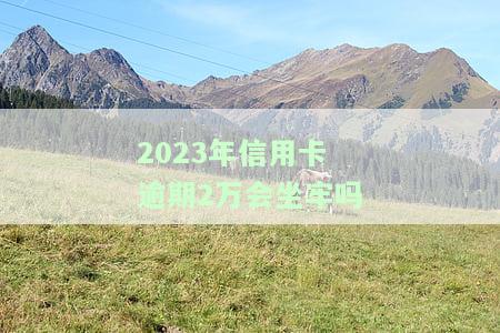2023年信用卡逾期2万是否会坐牢？视频解析