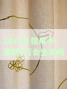 2023年信用卡逾期2万会坐牢吗-2023年信用卡逾期2万会坐牢吗知乎