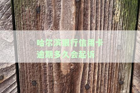哈尔滨银行信用卡逾期多久会起诉-哈尔滨银行信用卡逾期多久会起诉