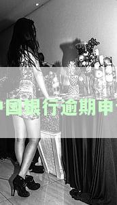 中国银行逾期申诉流程详解：步骤、时间全解析