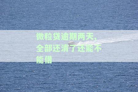 微粒贷逾期两天,全部还清了还能不能借钱，微粒贷逾期两天后全部还清，是否还能再次借款？
