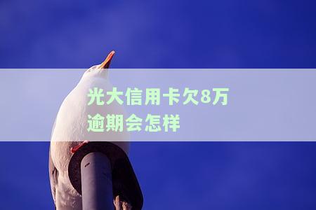 光大信用卡欠8万逾期会怎样