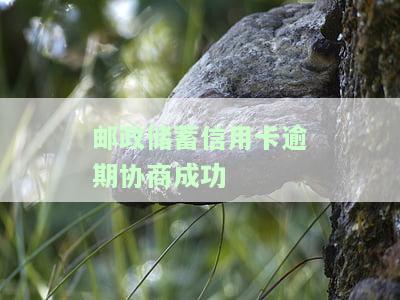 邮政蓄协商还款，如何与邮政蓄银行协商还款？