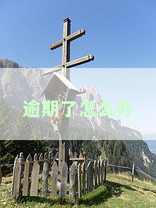 营业执照年报逾期了怎么办，营业执照年报逾期，如何解决？
