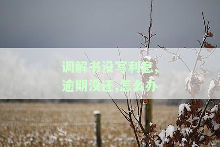 调解书没写利息,逾期没还,怎么办理，解决调解书未写明利息、逾期未还款问题的步骤