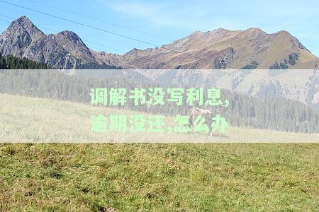 法院调解书未写逾期后利息，法院是否应支持？解决方案是什么？