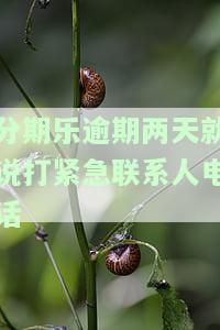 分期乐逾期两天就说打紧急联系人电话-分期乐逾期两天会给紧急联系人打电话