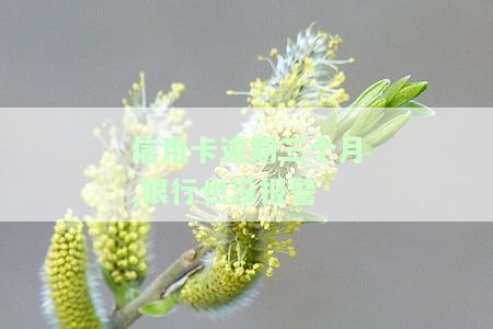 信用卡逾期三个月,银行也没报警会怎么样，信用卡逾期三个月未还，银行为何没有报警？