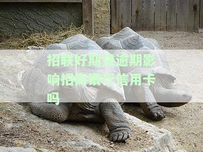 招联好期贷逾期是否会从招商银行卡扣款？安全吗？