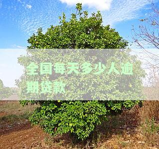 全国每天多少人逾期贷款-全国每天多少人逾期贷款了