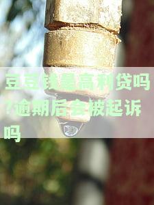 豆豆钱是不是p2p网贷，解析豆豆钱：它是P2P网贷吗？