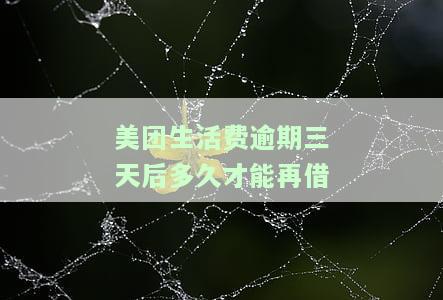 美团生活费逾期3天多久才能又可以借，美团生活费逾期3天后，如何再次借款？