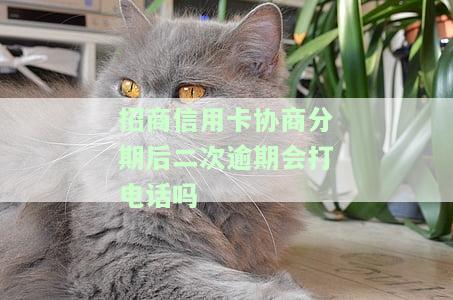 招商信用卡协商分期后二次逾期会打电话吗