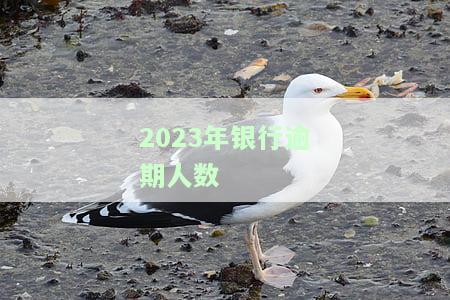 2023年银行逾期人数-2020银行逾期人数