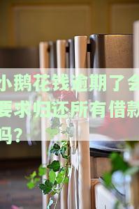 小鹅花钱逾期了会要求归还所有借款吗？