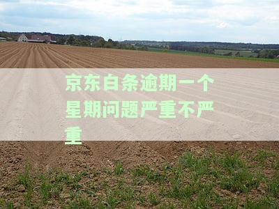 京东白条逾期一个星期问题严重不严重