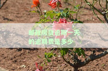 邮政银行房贷逾期一天罚息多少，解答你的疑惑：邮政银行房贷逾期一天的罚息是多少？