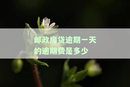 邮政房贷逾期一天的逾期费是多少