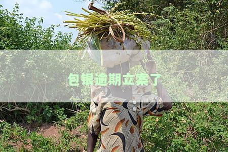 包银逾期立案了怎么撤销，如何撤销已立案的包银逾期案件？