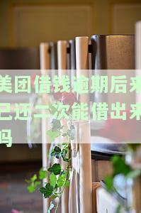 美团借钱：逾期一次后还款，还能再次借款吗？