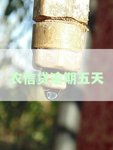 农信贷逾期五天会否上征信？有何影响？