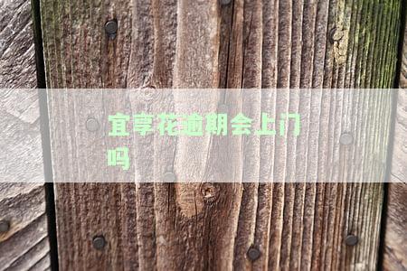 宜享花逾期多久会上门，逾期多久？宜享花会派人上门催收吗？