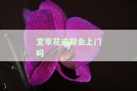 宜享花逾期会上门吗