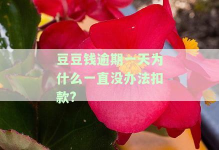 豆豆钱逾期一天，账单变下月，该如何还款？