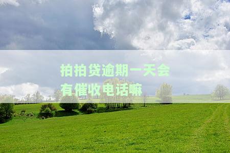 拍拍贷逾期一天会上报影响征信么,不是故意的，关于拍拍贷逾期一天是否会影响征信的问题，需要明确态度并及时处理