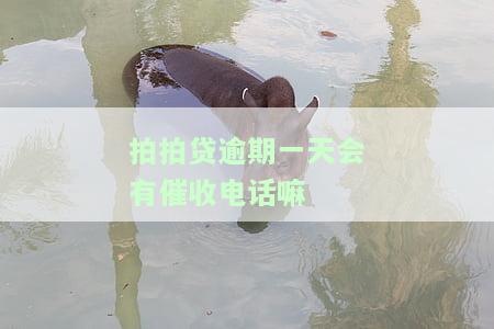 拍拍贷：逾期一天被要求8点前还款，客服态度恶劣如何应对？