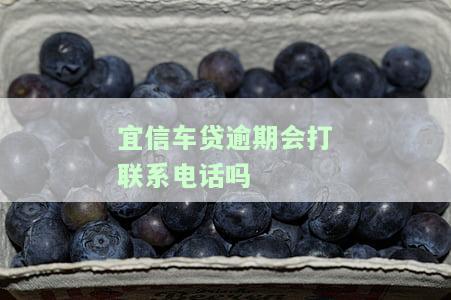 宜信车贷逾期会打联系电话吗，宜信车贷逾期处理方式：是否会拨打联系电话？