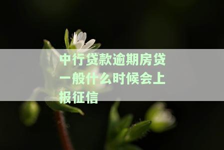 中行贷款逾期房贷一般什么时候会上报征信记录，查询中行贷款逾期房贷的征信报告时间