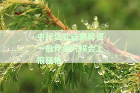 中国银行房贷逾期多久对个人征信有影响，房贷逾期多久会影响个人征信？中国银行告诉你答案！