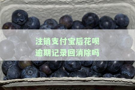 注销支付宝后花呗逾期记录回消除吗是真的吗，注销支付宝后，花呗逾期记录会消除吗？真相大揭秘！