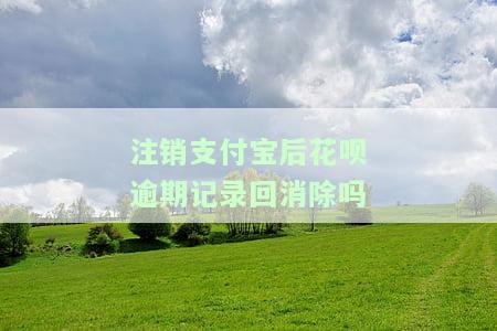 支付宝花呗逾期注销影响及处理方法