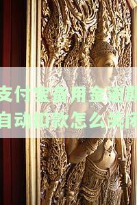 如何关闭支付宝备用金自动扣款？