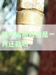 借呗逾期短信通知是否为统一还款？真伪如何判断？