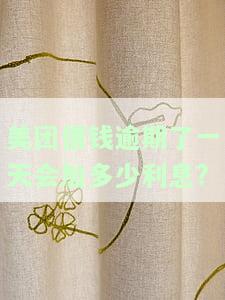 美团借钱逾期了一天会加多少利息呢，美团借钱：逾期一天会产生多少额外利息？