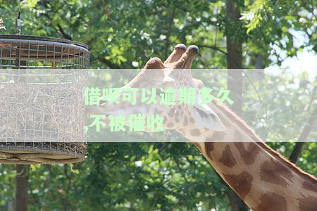 借呗逾期可拖多久不被起诉？最长期限及后果解析