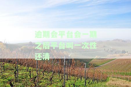 逾期后要求一次还清：无法偿还的解决方案
