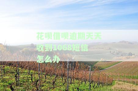 花呗借呗逾期天天收到1068短信？解决方案大揭秘！