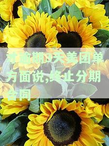 美团借款逾期几天就说要取消分期？真实情况解析！