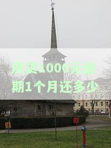 房贷1000元逾期1个月还多少利息，房贷逾期1个月，1000元需要偿还多少利息？