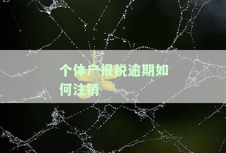 个体户报税逾期怎么办？首违如何处理？
