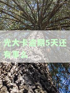 光大逾期多久会被停卡，光大信用卡逾期多长时间会导致卡片被停用？