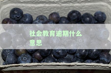 社会教育是什么课程：类型与类别的探讨