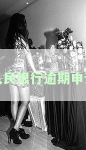 人民银行逾期申诉流程图：全面了解申诉步骤与最新政策