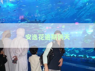 安逸花逾期2天470多块，会不会被起诉？已还2000多，能否取出？