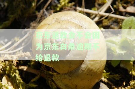 退款未到账，如何寻找解决方案？